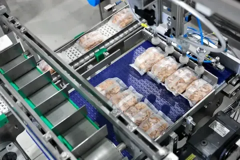 Exploring Packaging Machines with Key Techniques, Helpful Tips, and Smart Solutions