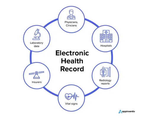 Exploring the Best EHR Systems for Medical Professionals